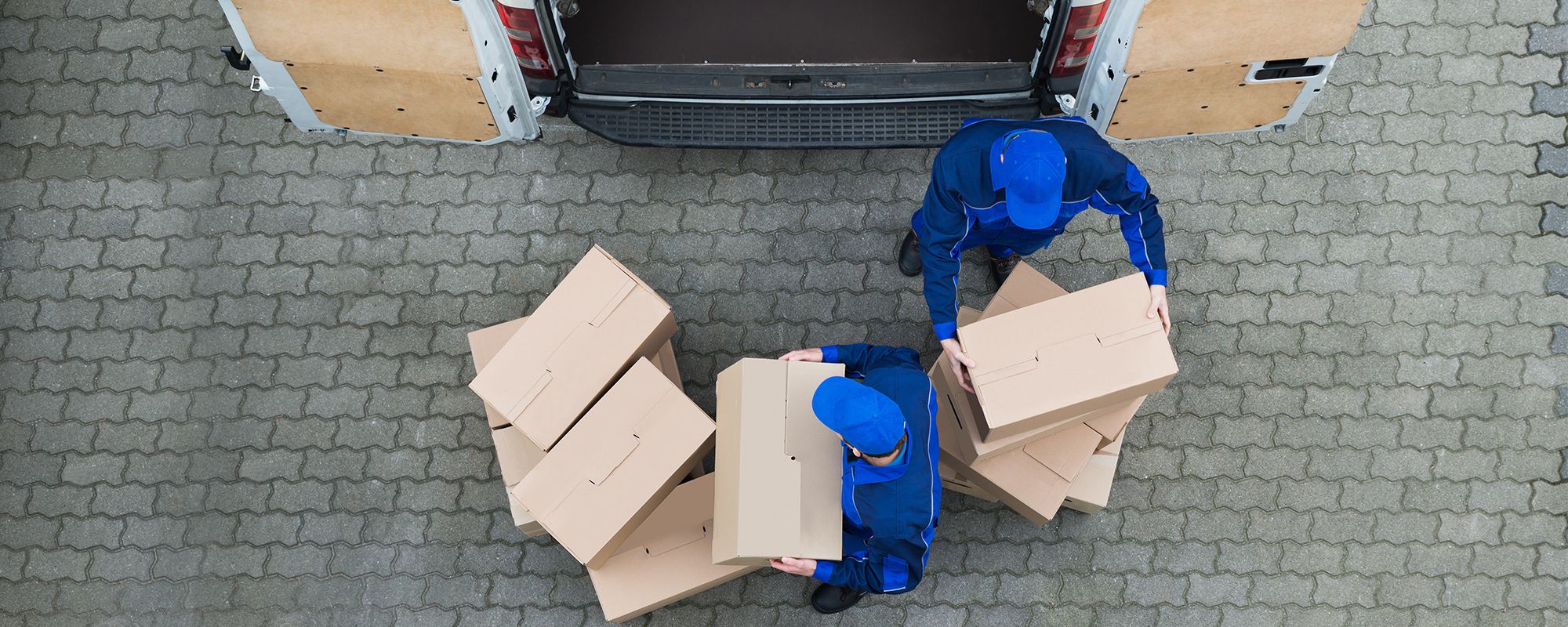 Same Day Dispatch Services
